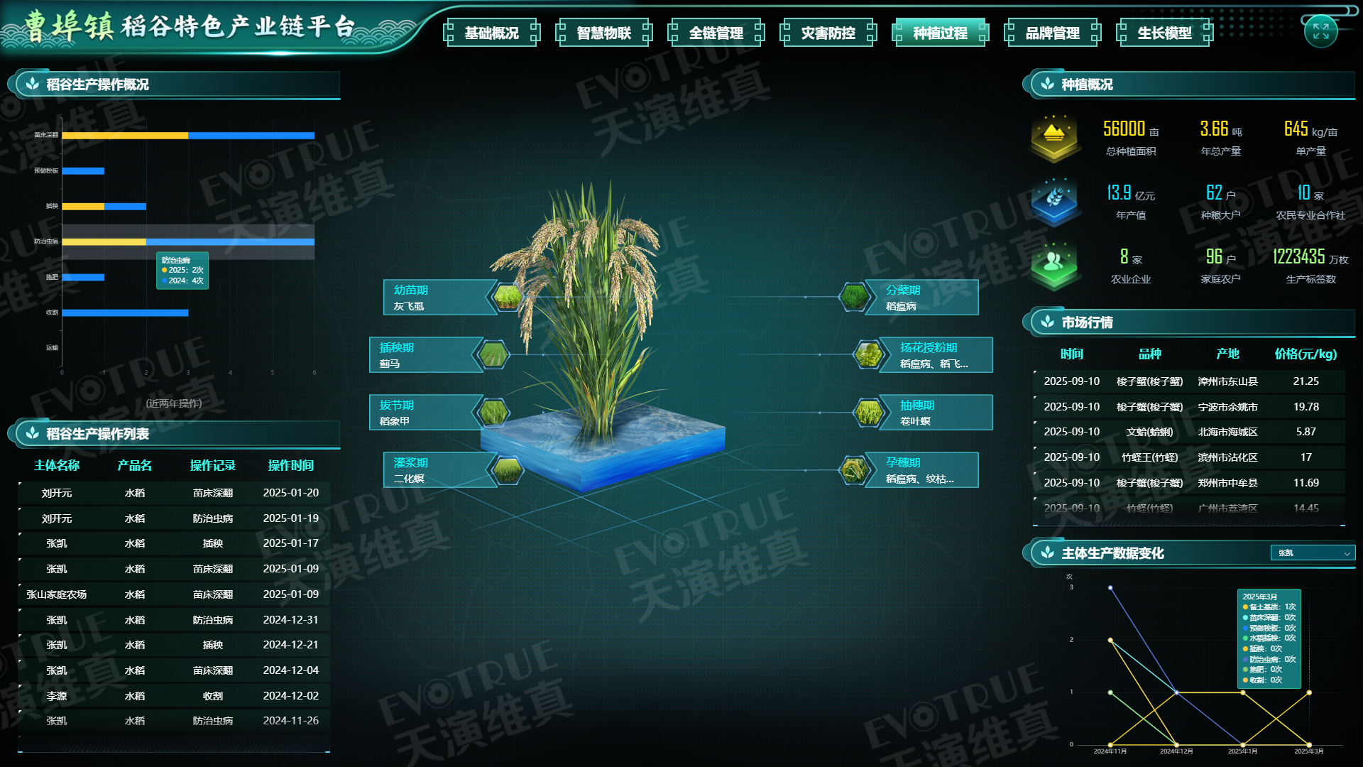 种植过程.png