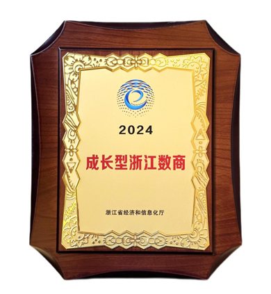 2024年度成长型浙江数商